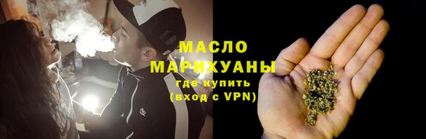 дмт Дмитров