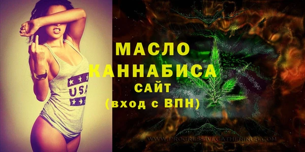 дмт Дмитров
