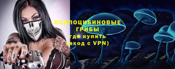 ПСИЛОЦИБИНОВЫЕ ГРИБЫ Дмитриев