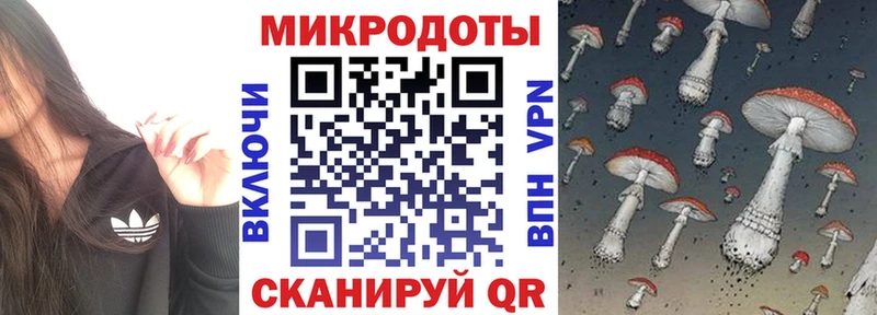 Галлюциногенные грибы Cubensis  цены наркотик  Сибай 