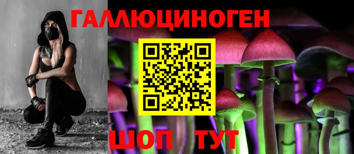 Галлюциногенные грибы Psilocybe Сибай